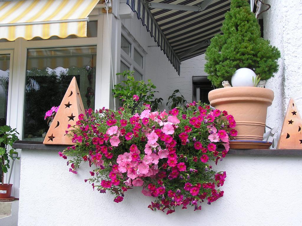 Anita's Ferienwohnung nahe Neuschwanstein Reutte Exterior foto